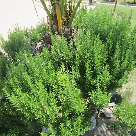 Gardenia 12 Prázdninový dům *